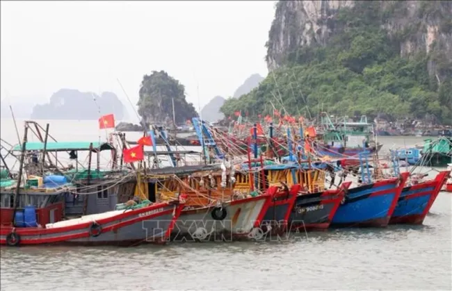 Fishing vessels dock at a port in Quang Ninh (Photo: VNA)