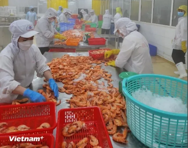 UOB maintains Vietnam’s growth forecast at 6% (Illustrative image. Source: VietnamPlus)