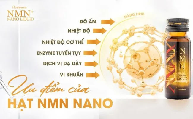 NMN Nanocapsule - Công nghệ mới hỗ trợ bảo vệ sức khỏe, kéo dài tuổi thọ từ Nhật Bản