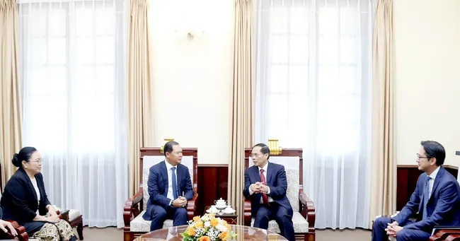 Deputy Prime Minister and Minister of Foreign Affairs Bui Thanh Son (R) receives Lao Deputy Minister of Foreign Affairs Phoxay Khaykhamphithoune. (Photo: VNA)