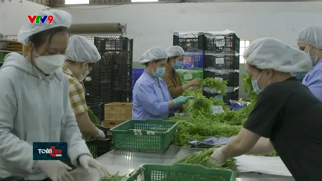 Trung Quốc yêu cầu xác nhận từ cơ quan thẩm quyền với 20 nhóm nông sản