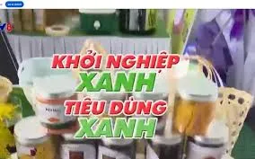 Khởi nghiệp xanh, tiêu dùng xanh