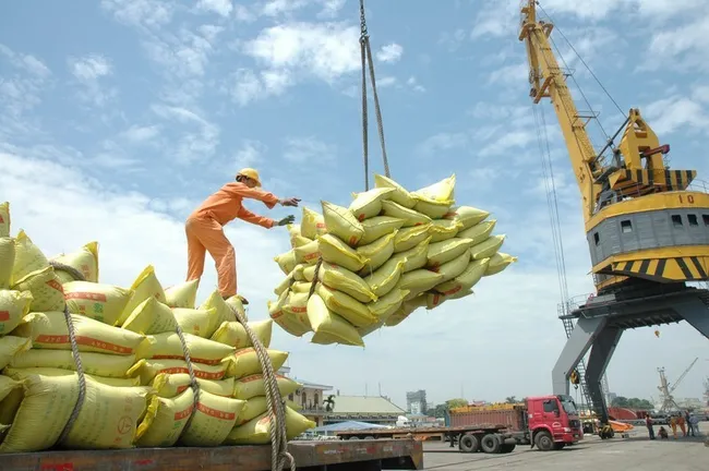 Rice exports top 8 million tonnes