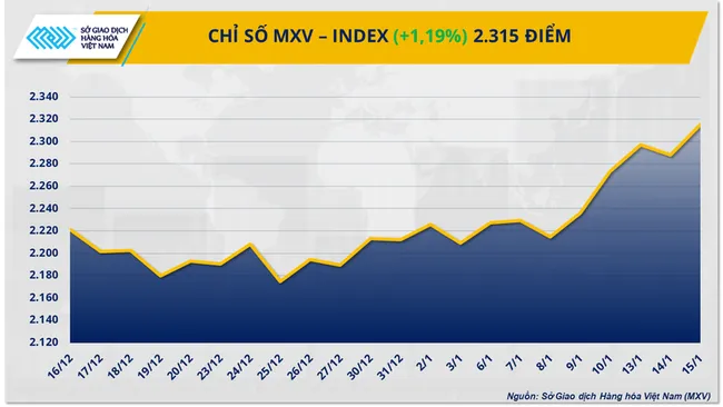 Chỉ số MXV-Index đạt mức cao nhất trong hơn 7 tháng nhờ dòng tiền đầu tư quay lại thị trường