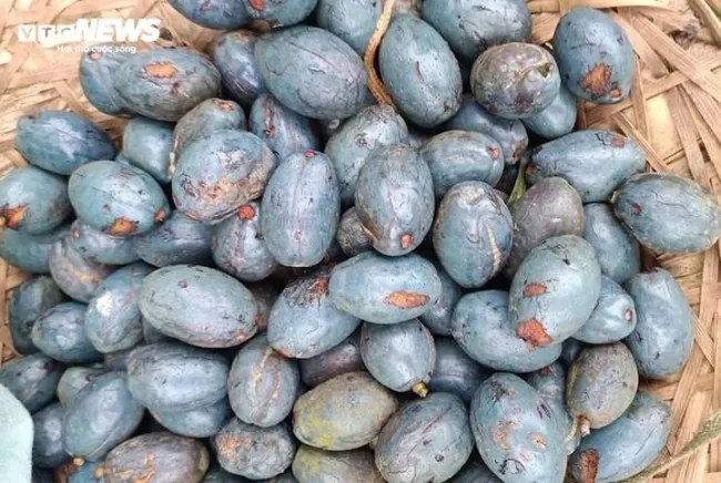 Loại quả giá rẻ, bất ngờ thành đặc sản khó mua