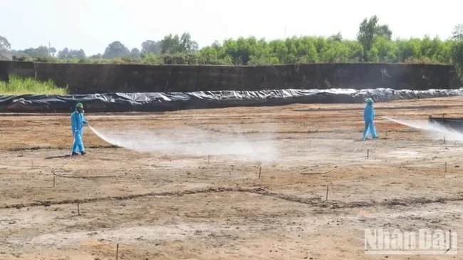 Workers are managing dioxin remediation inside the Bien Hoa Airport area.
