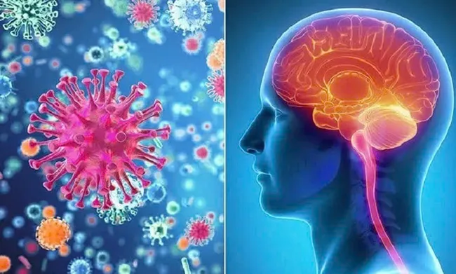 Mức độ nguy hiểm và dấu hiệu nhận biết bệnh viêm màng não
