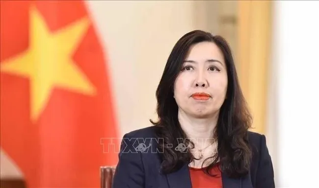 Deputy Foreign Minister Le Thi Thu Hang (Photo: VNA)
