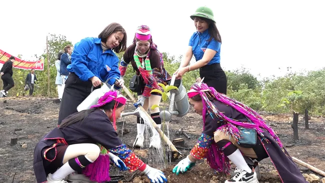 Quang Ninh plants 1,300 hectares of new forest in the first two months of 2025.