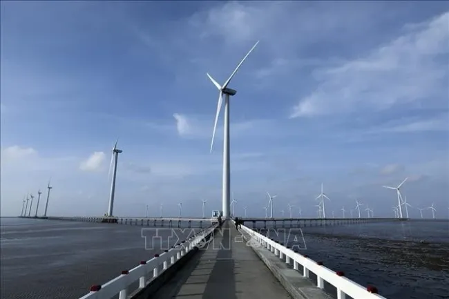Bac Lieu Wind Power Plant has 62 turbines with a total estimated capacity of 99MW. (Photo: VNA)
