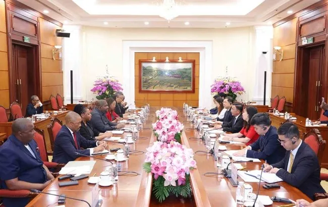 The meeting between Politburo member and permanent member of the Communist Party of Vietnam Central Committee’s Secretariat Tran Cam Tu and Secretary General of the ruling Mozambique Liberation Front (FRELIMO) Party Chakil Aboobabcar on April 28 (Photo: VNA)
