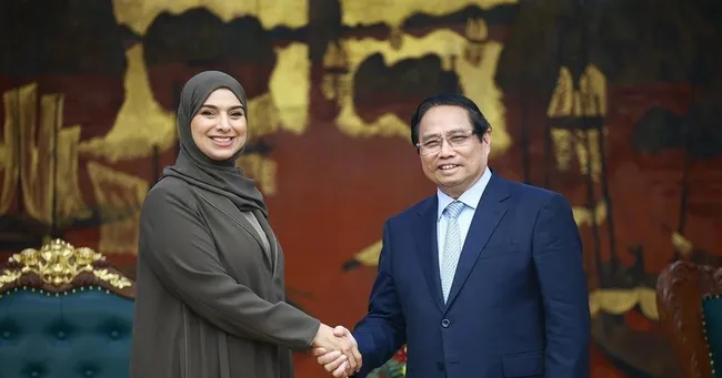Prime Minister Pham Minh Chinh (R) and Minister of Climate Change and Environment of the UAE Amna bint Abdullah Al Dahak at their meeting in Hanoi on April 16. (Photo: VNA)