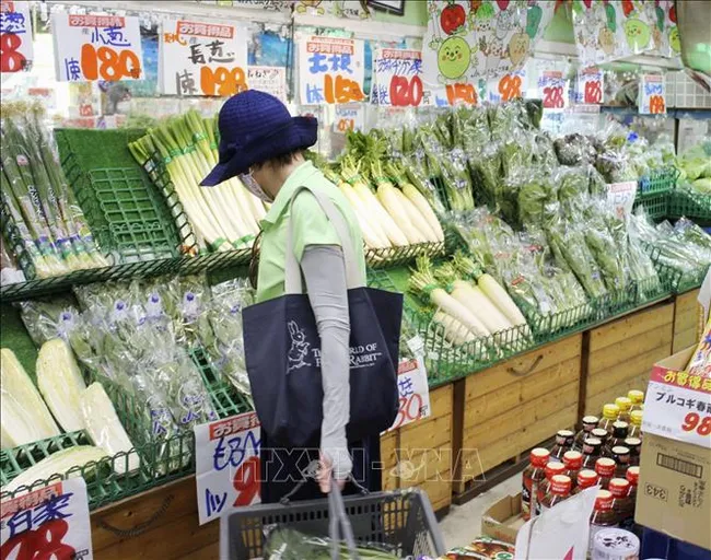 Hàng trăm mặt hàng thực phẩm Nhật Bản có thể tăng giá trong tháng 5