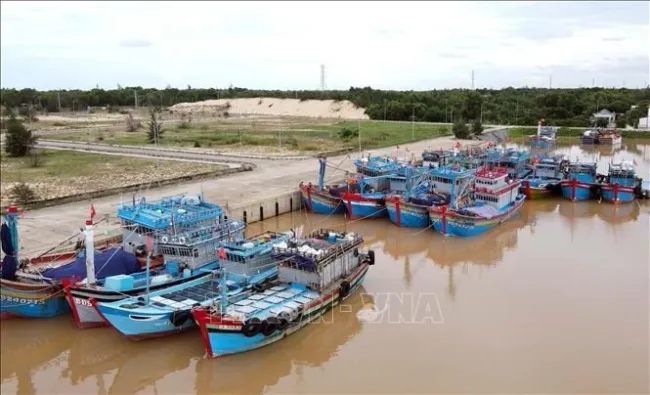 Fisshing vessels in Quang Binh province (Photo: VNA)