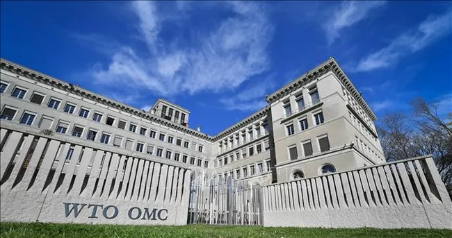 Việt Nam tham gia các phiên họp phòng vệ thương mại WTO