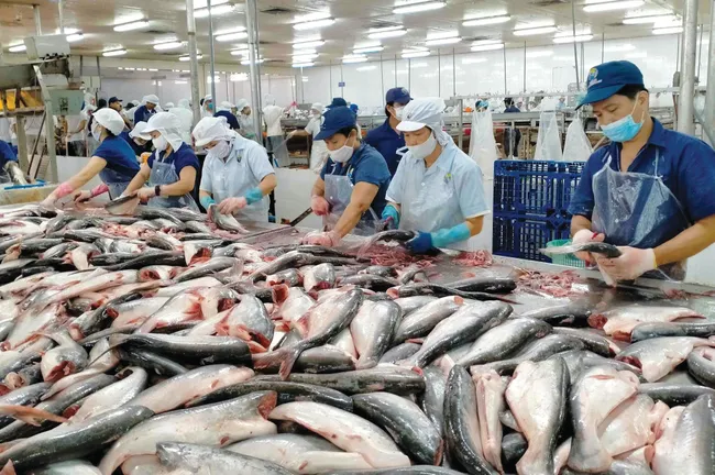 Xuất khẩu thủy sản sẽ chuyển biến mạnh trong tháng 5 và tháng 6