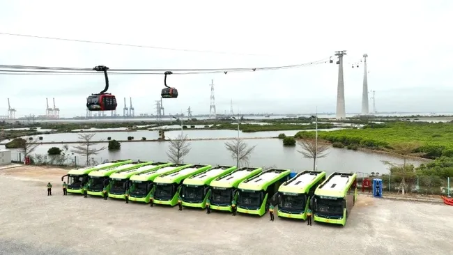 Operating electric bus route from Phu Long station to Green Island Central Bay on Cat Ba tourist island.