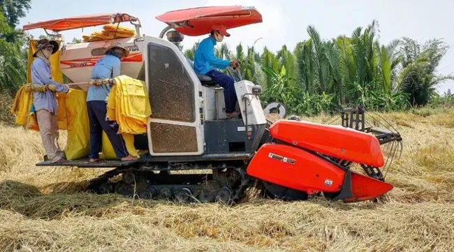 Thị trường cho gạo phát thải thấp
