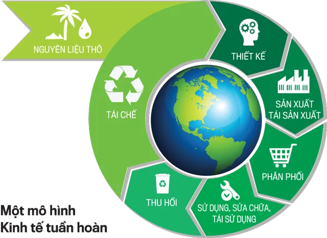 Phát triển công nghệ sinh học, thúc đẩy kinh tế tuần hoàn