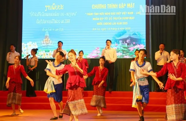 A performance at the event (Photo: NDO)