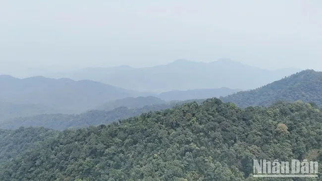 The area surrounding Non Mai-Mai Linh Mountain. (Photo: NDO)