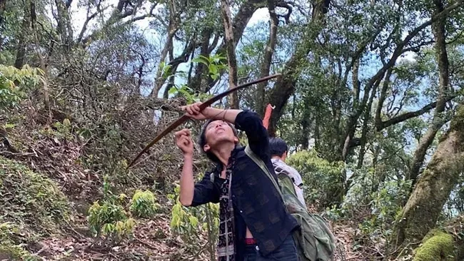 Hunting of birds and wildlife in Ta Lien Forest, Lai Chau Province. (Photo: NDO)