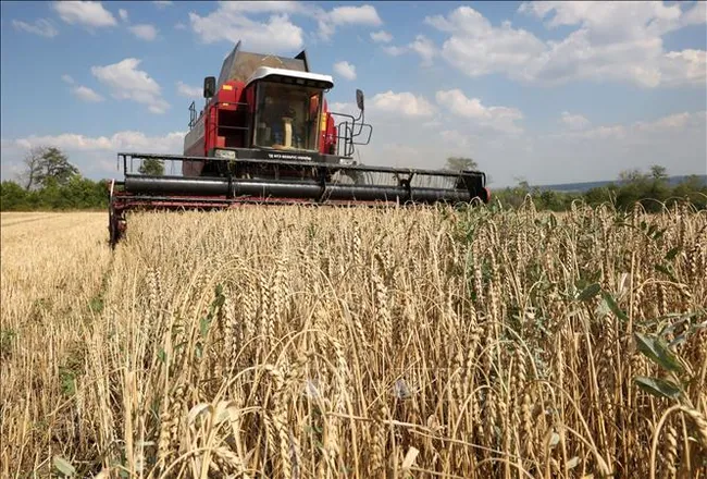 EU sẽ giảm hạn ngạch miễn thuế đối với các sản phẩm nông nghiệp của Ukraine