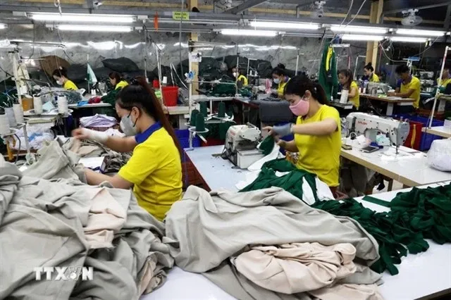 At a garment manufacturing factory for export. (Photo: VNA/VNS)