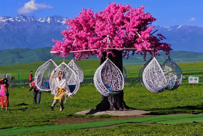Trung Quốc nổi lên xu hướng du lịch "dưỡng sinh"