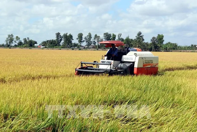 Chủ động kịch các kịch bản tiêu thụ nông sản