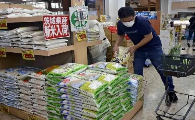 Nhật Bản gặp khó khăn trong việc giảm giá gạo