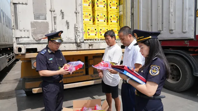 Hải quan phát hiện, ngăn chặn hàng loạt vụ gian lận xuất xứ, "đội lốt" hàng Việt