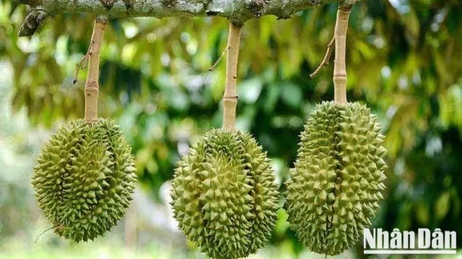 Illustrative image. (Photo: HNV)