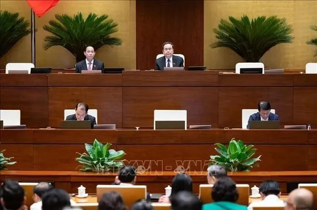An overview of the National Assembly's discussion on May 24. (Photo: VNA)