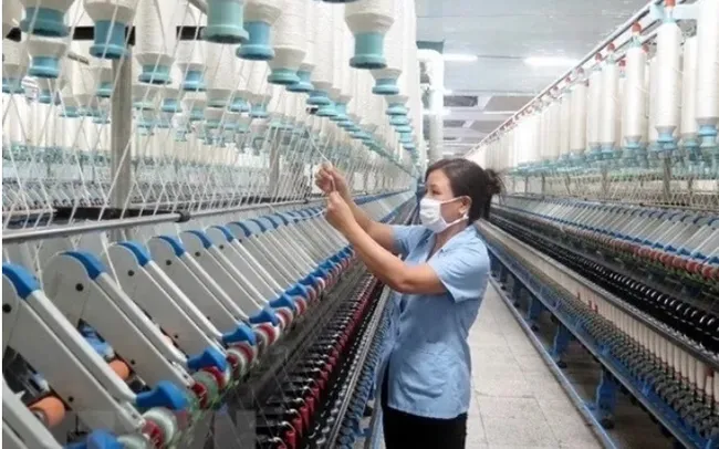 Những chính sách kinh tế mới nổi bật có hiệu lực từ 6/2025