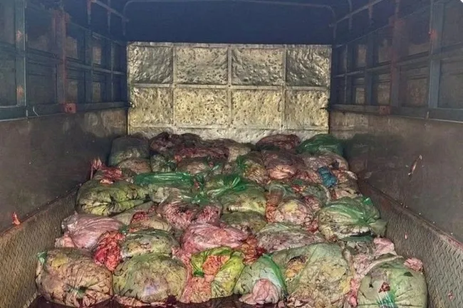 Nghệ An: chặn đứng 1,3 tấn nội tạng bốc mùi suýt lên bàn ăn