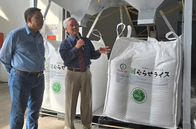 Gạo Việt xanh lần đầu xuất ngoại: Cú bắt tay chất lượng cao với thị trường Nhật Bản