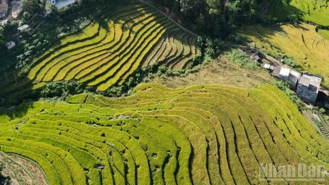 Terraced fields in Binh Lieu District, Quang Ninh Province, seen from above. (Photo: QUOC TOAN)