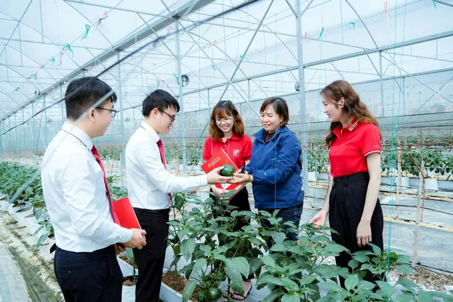 Cơ hội và thách thức của tín dụng xanh
