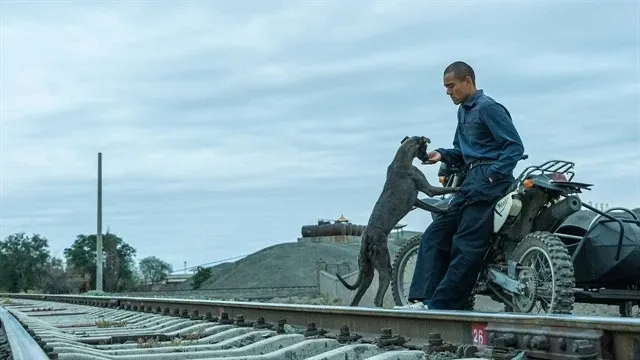 Actor Eddie Peng plays Lang, a former convict in 'Black Dog.' (Photo courtesy of Hi Gloss Entertainment)