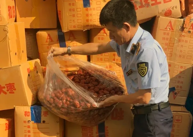 Hà Nội: Tiêu hủy hơn 4 tấn táo đỏ nhập lậu, chủ hàng bị xử phạt nặng