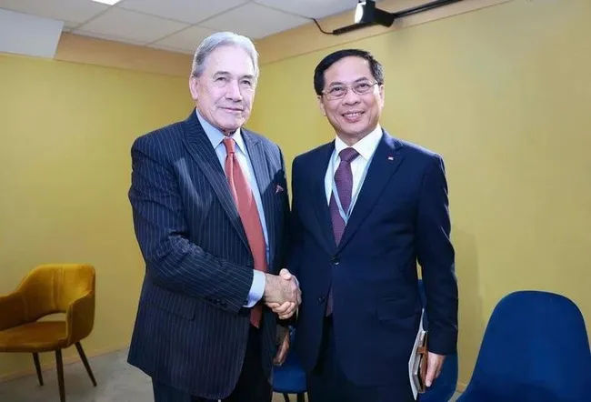 Deputy Prime Minister and Minister of Foreign Affairs Bui Thanh Son (R) and New Zealand’s Foreign Minister Winston Peters (Photo: VGP)