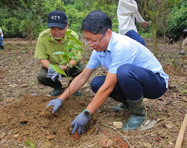Attendees take part in planting trees at the Cuc Phuong National Park. (Photo: VNA)