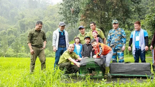 In Cuc Phuong National Park, forest rangers and local residents work together to release wildlife back into their natural habitat.