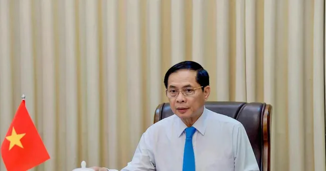 Deputy Prime Minister and Minister of Foreign Affairs Bui Thanh Son (Photo: VNA)