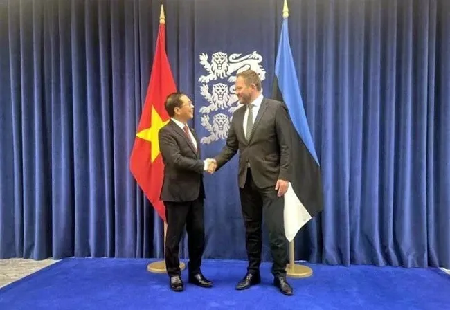 Deputy Prime Minister and Minister of Foreign Affairs Bui Thanh Son (left) meets with Estonian Minister of Foreign Affairs Margus Tsahkna in Tallinn on June 6. (Source: VNA)