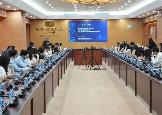 At the conference on June 11 (Photo: VNA)