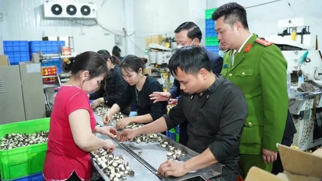 Authorities inspect food safety assurance efforts in Ha Noi.