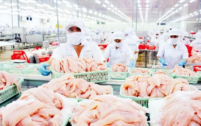 Bảy doanh nghiệp Việt Nam được miễn thuế chống bán phá giá cá tra phile tại Mỹ