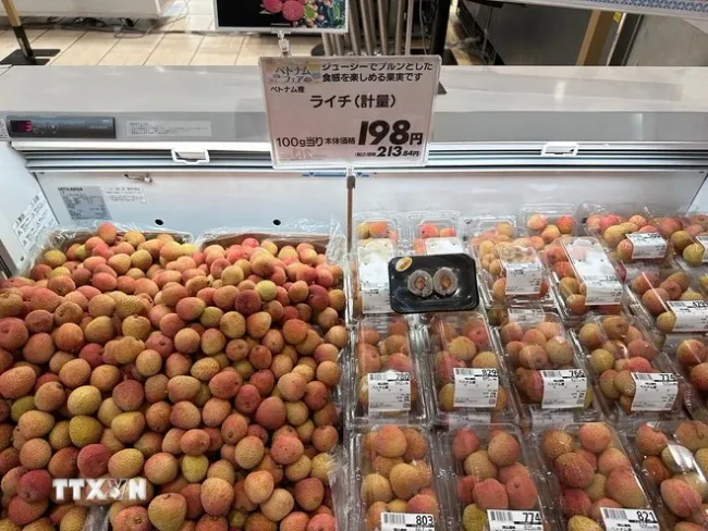 Fresh Vietnamese lychees are being sold at an Aeon supermarket in Japan. (Photo: VNA)